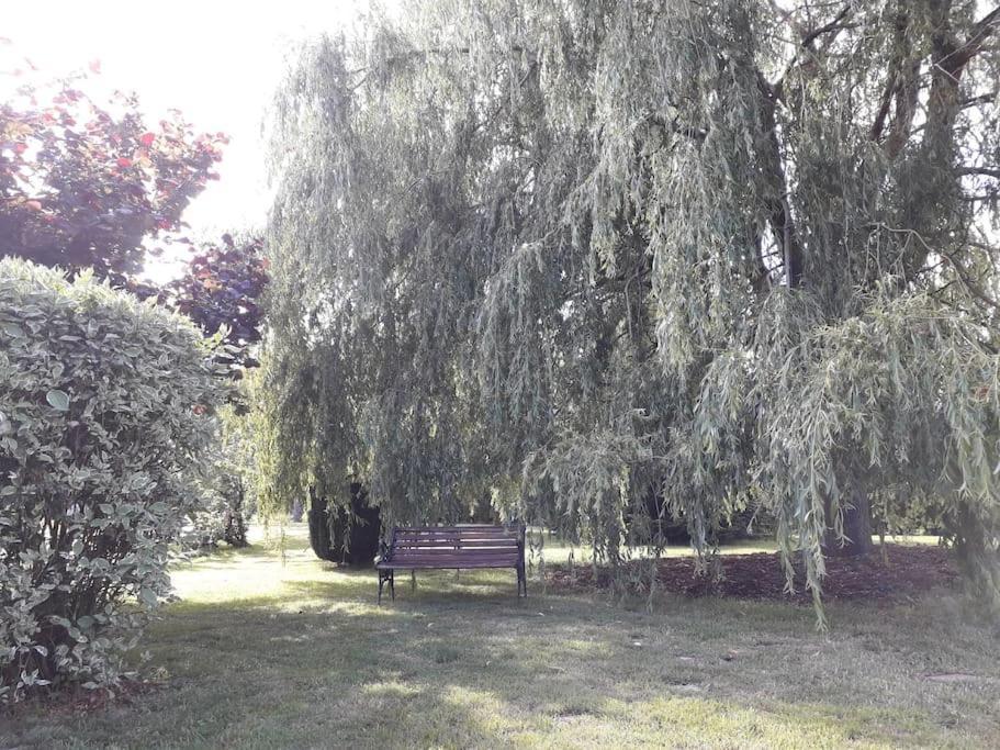Un Petit Coin De Paradis Clairfontaine Екстериор снимка